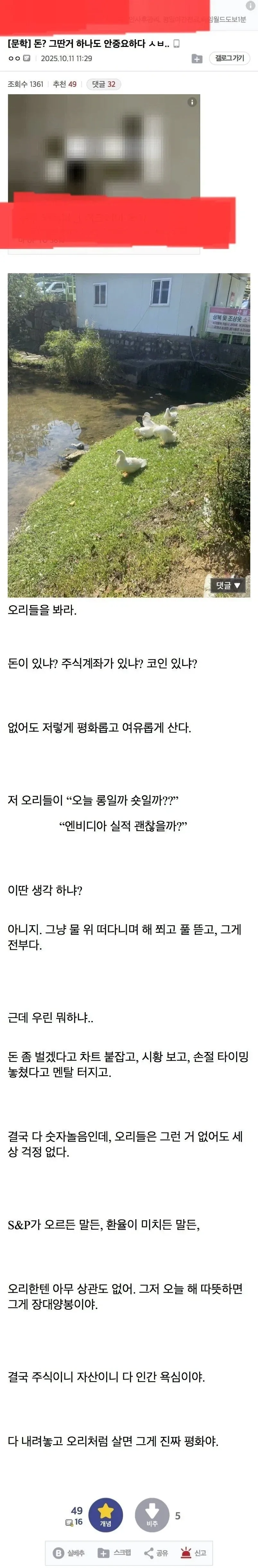 주식) 다 내려놓고 오리처럼 살면 그게 진짜 평화야_1.webp