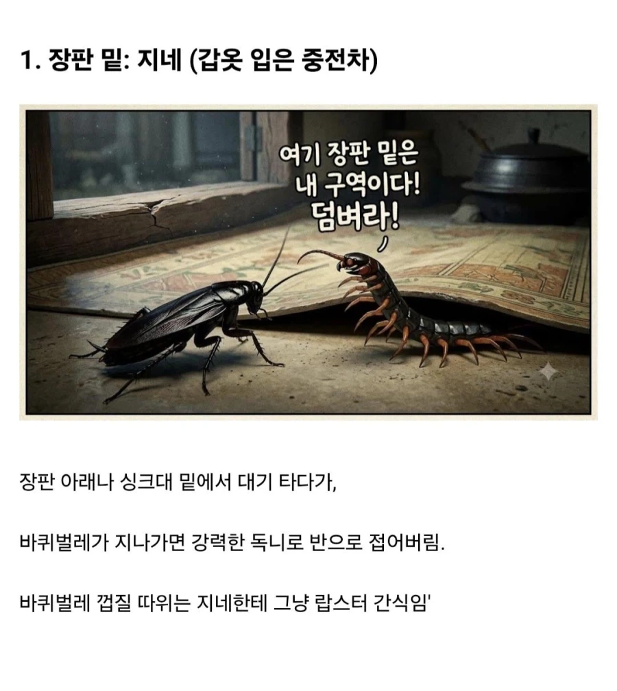 약혐)시골에서 바퀴벌레가 없는 이유_1.webp