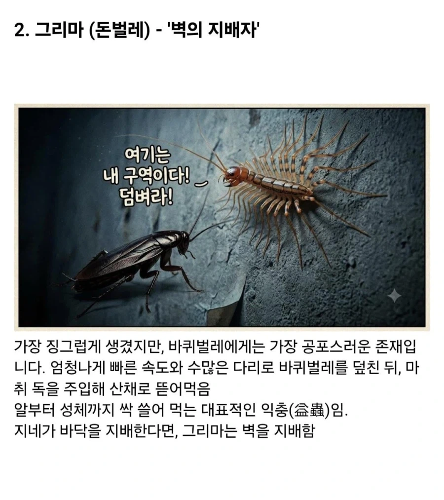 약혐)시골에서 바퀴벌레가 없는 이유_2.webp