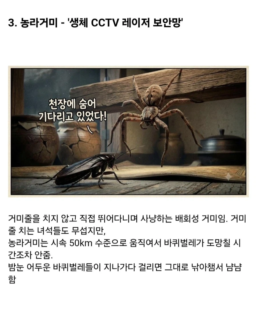 약혐)시골에서 바퀴벌레가 없는 이유_3.webp