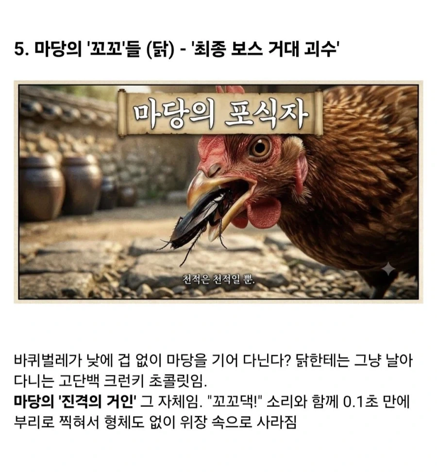 약혐)시골에서 바퀴벌레가 없는 이유_5.webp