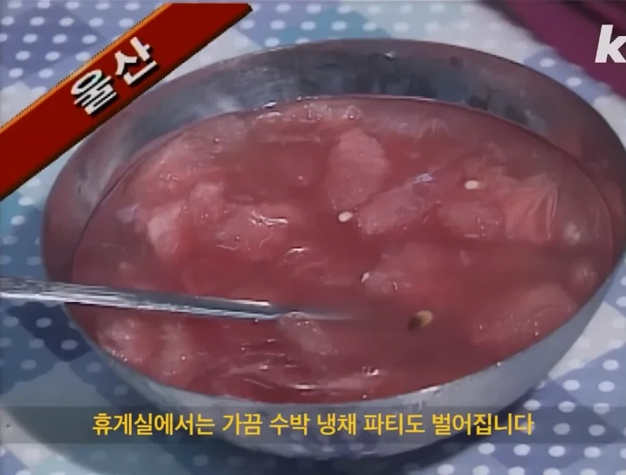 90년대 여름 극복기.jpg_11.webp