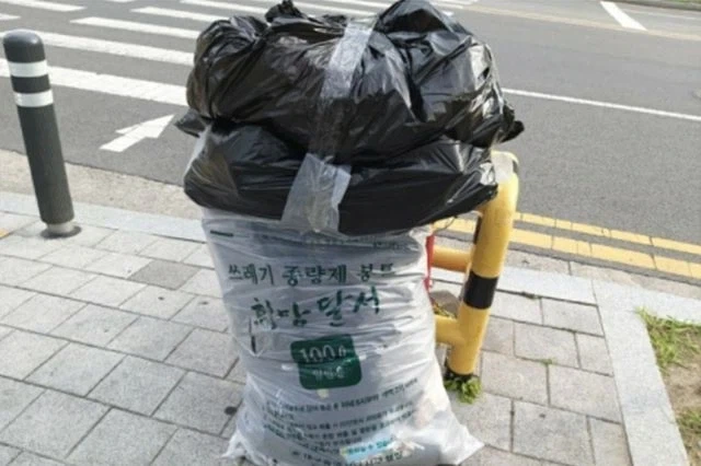 쓰레기봉투 이식수술.jpg_1.webp