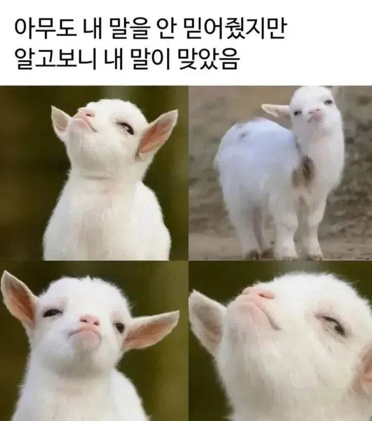 그것봐 내말이 맞잖아 표정_1.webp