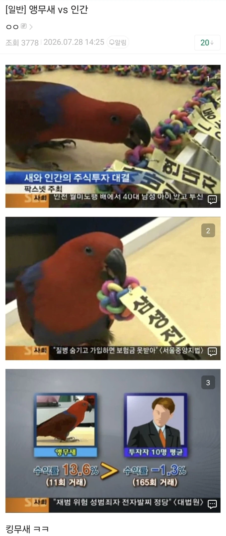 주식) 앵무새 vs 인간_1.webp