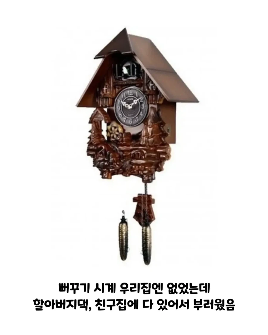 한때 장악했던 국민템들_7.webp