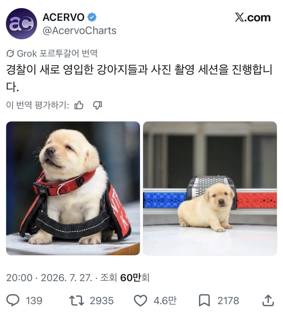 새로 영입한 경찰견의 사진 촬영_1.webp