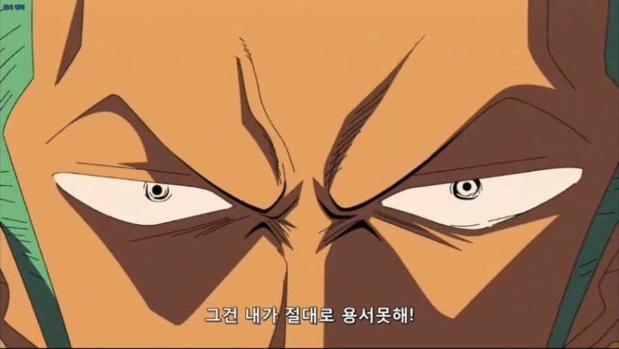 원피스에서 조로의 부선장 역할 디테일 수준_4.jpg