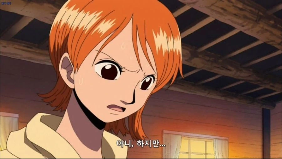 원피스에서 조로의 부선장 역할 디테일 수준_11.jpg