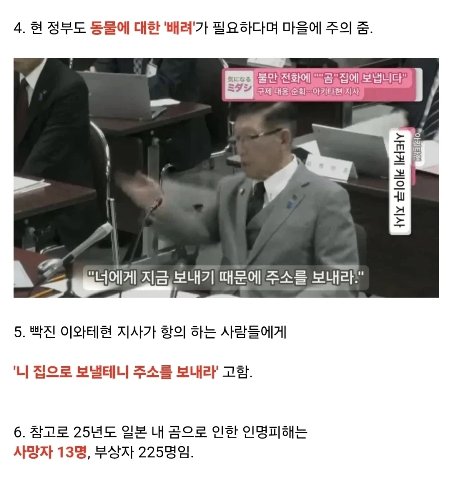 일본의 곰맘_2.webp
