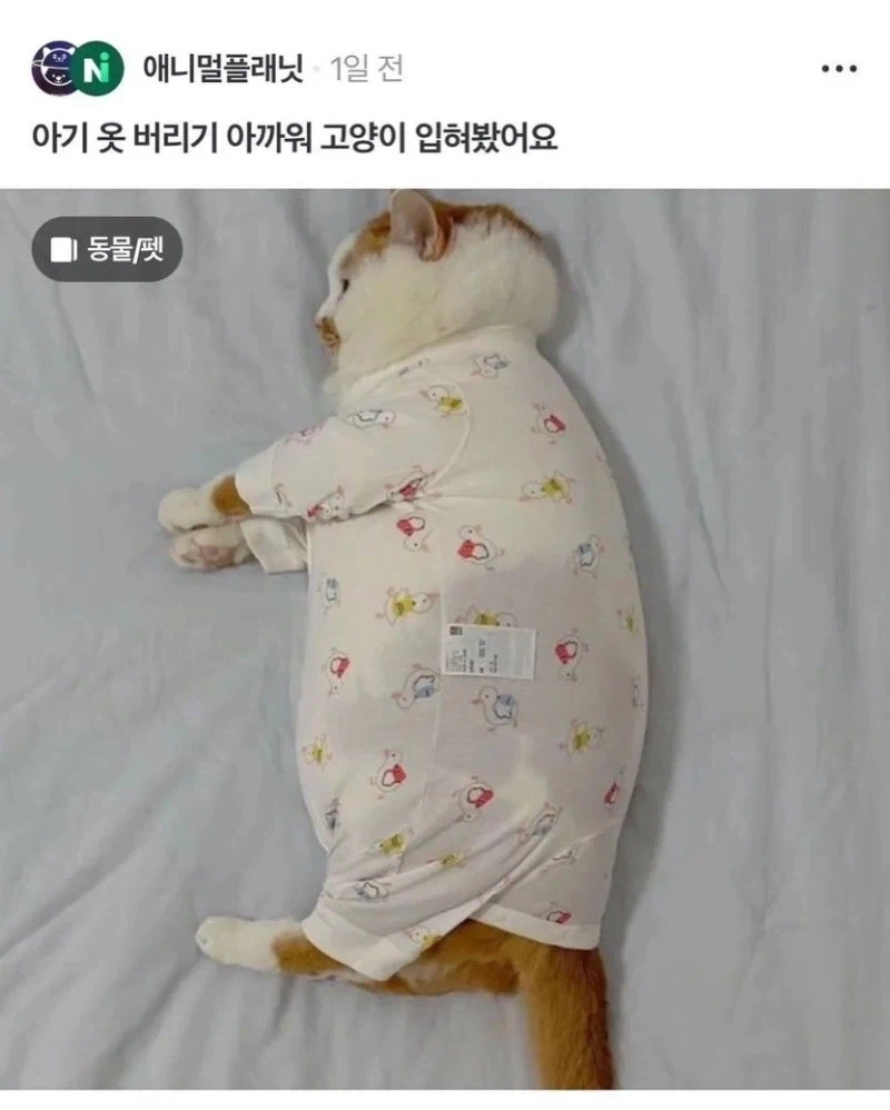 작아서 못 입게 된 아기옷 활용법.jpg_2.webp