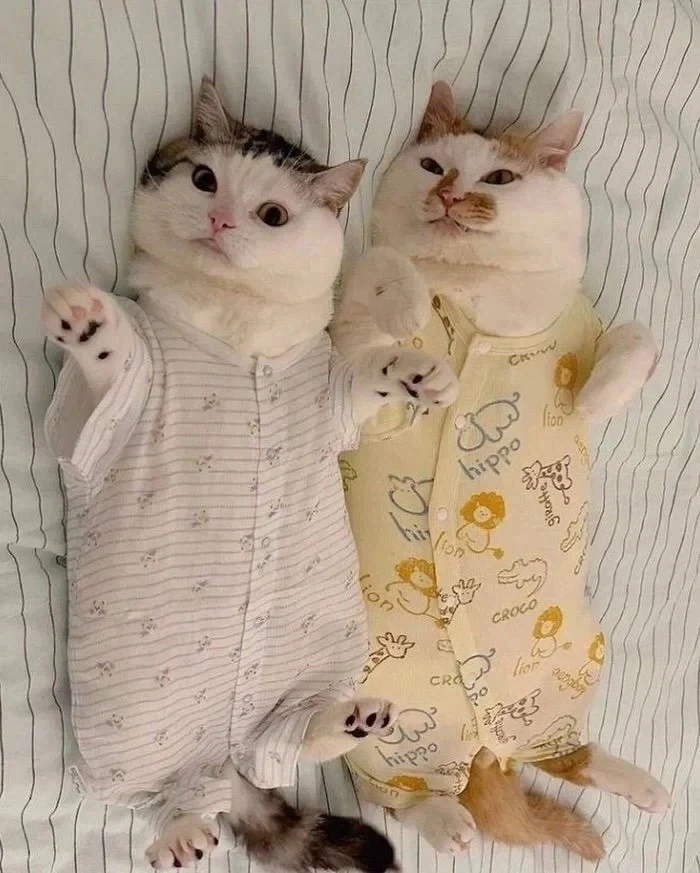 작아서 못 입게 된 아기옷 활용법.jpg_5.webp