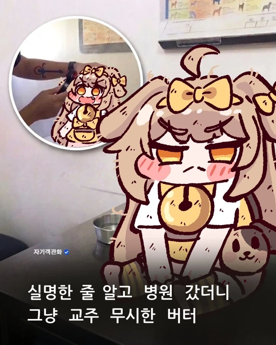 우리강아지의 ㄴ... 눈이!_1.webp