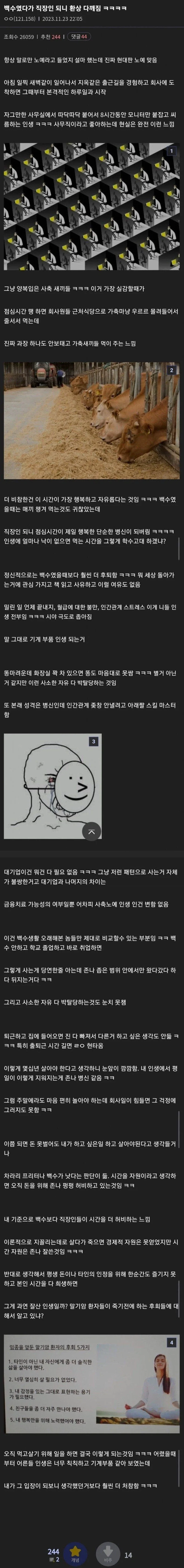 백수였다가 직장인 되니 환상 다 깨졌다는 사람_1.webp