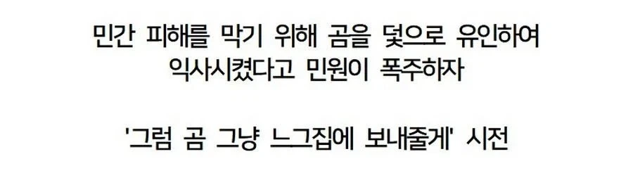 곰 익사시켰다고 곰맘민원 폭주_3.webp