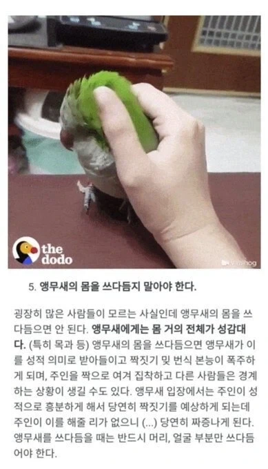 앵무새는 몸전체가 성감대레_1.webp