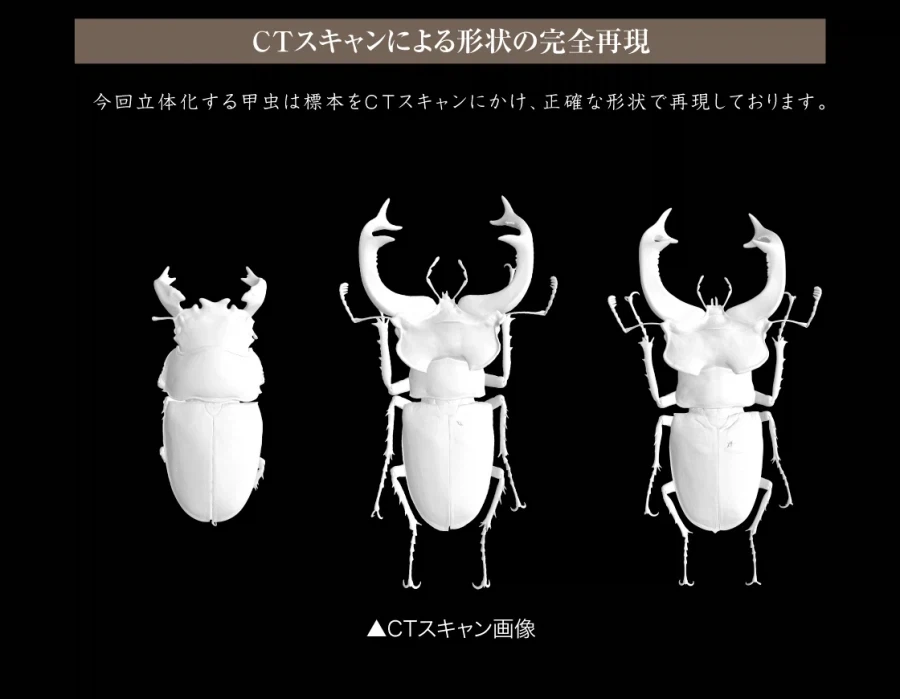 [반다이가샤폰] 생물대도감 어드밴스 쿠와가타(사슴벌레) 03_32.webp