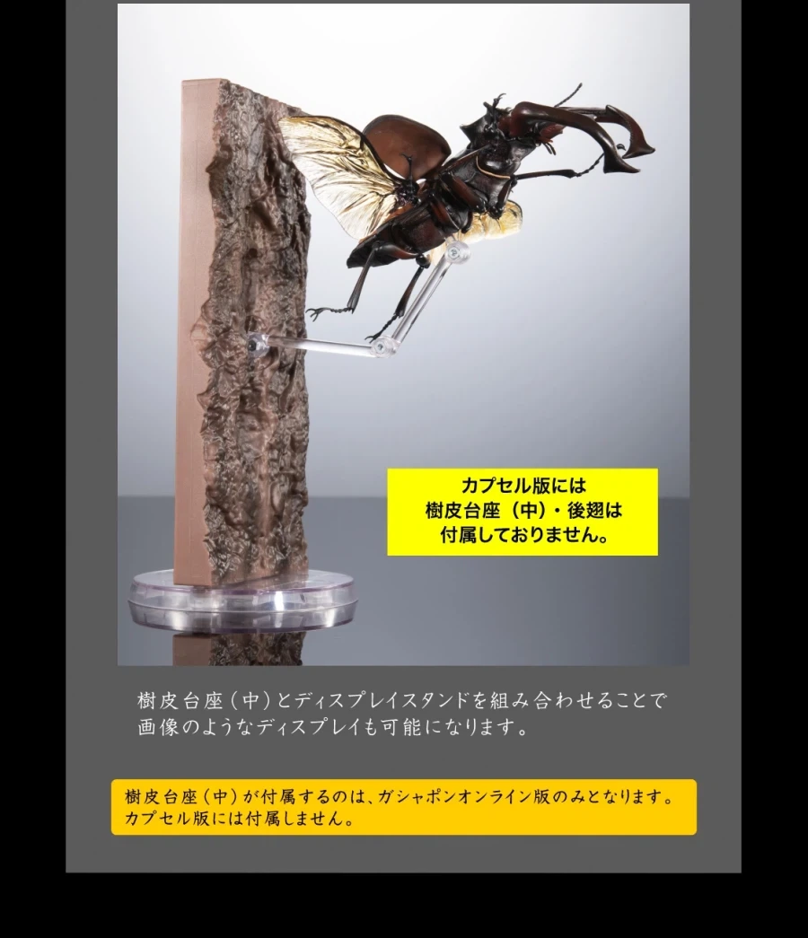 [반다이가샤폰] 생물대도감 어드밴스 쿠와가타(사슴벌레) 03_40.webp