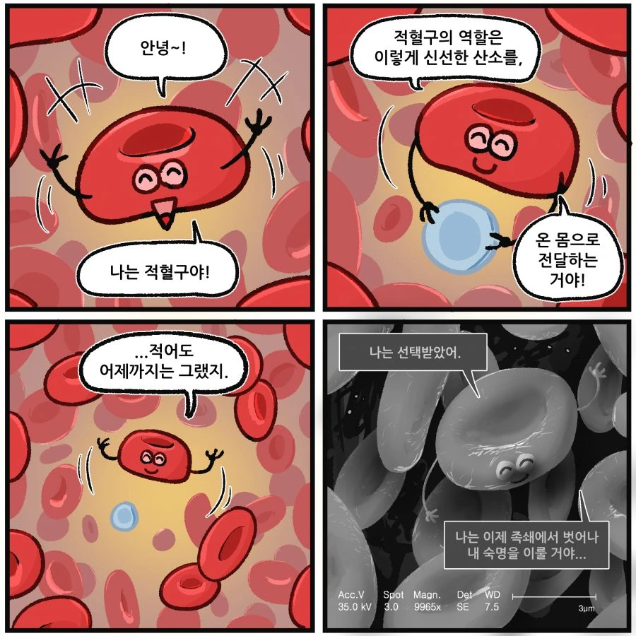 redblood-2.png