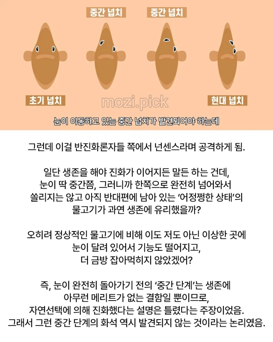 다시봐도 신박신박신박한 광어의 진화.jpg_2.webp