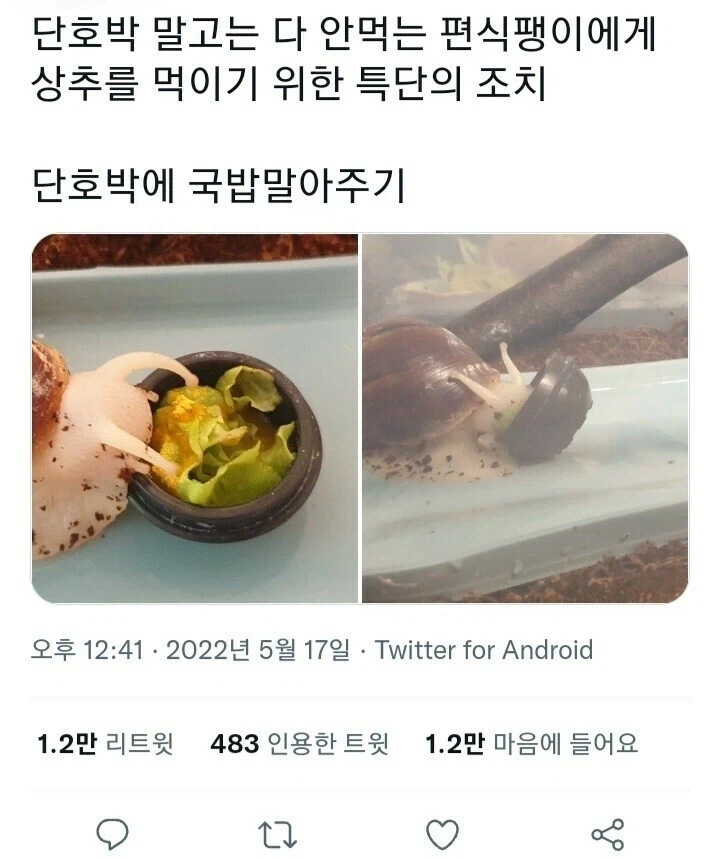 편식하는 달팽이 고치는 특단의 조치.jpg_1.webp