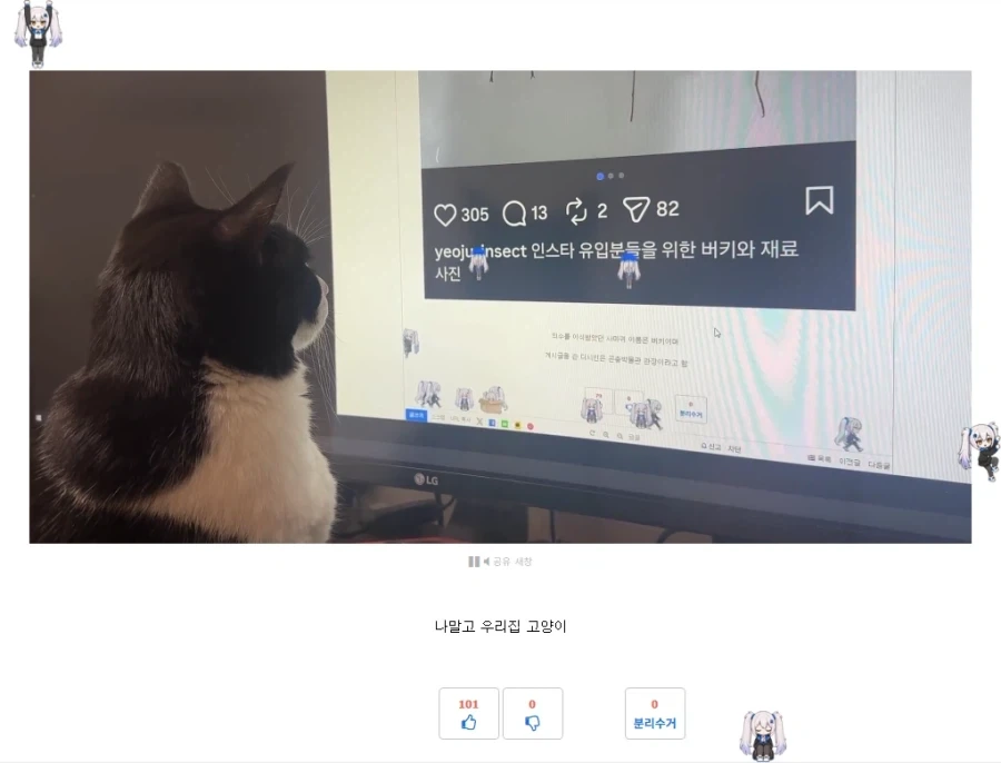 사이버 초파리 글 보면 생기는거_1.webp
