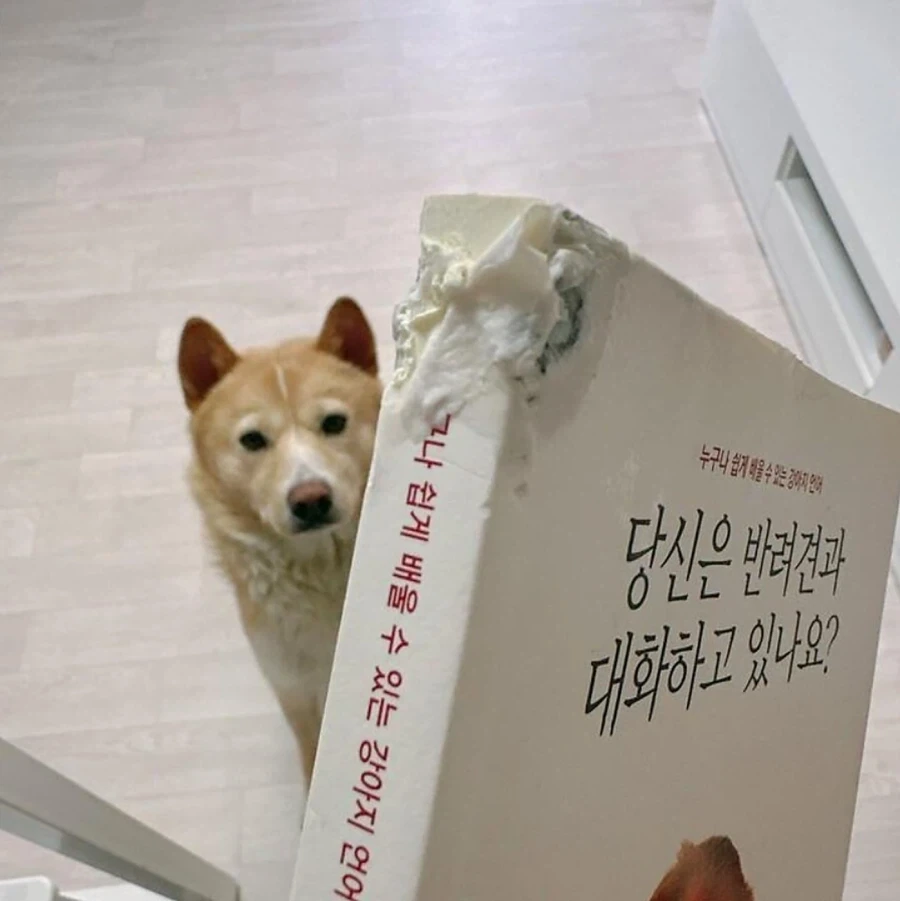 주인아, 대화로 하자_1.webp