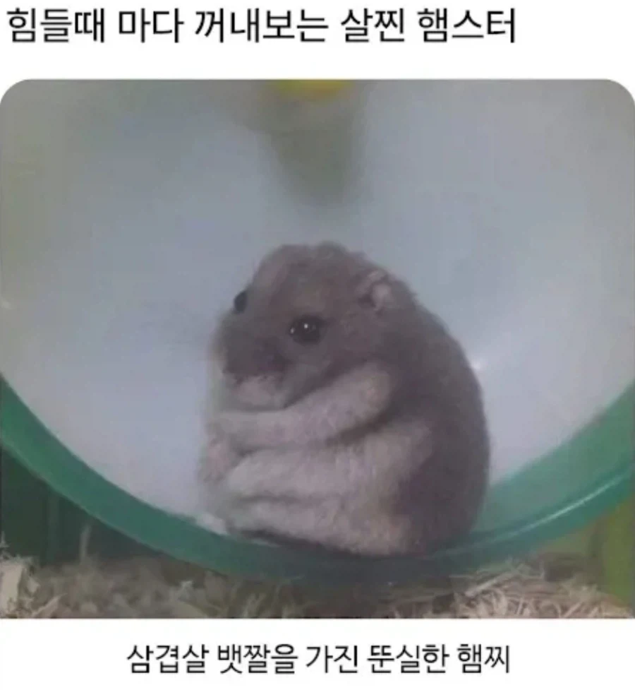 힘들 때마다 꺼내 봐야하는 거_1.webp