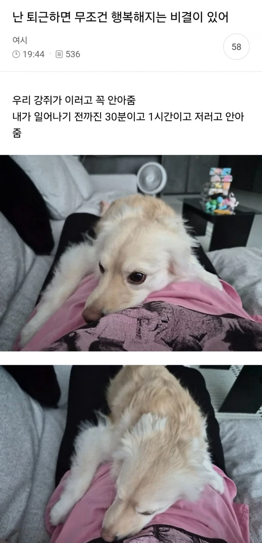 난 퇴근하면 무조건 행복해지는 비결이 있어._1.webp