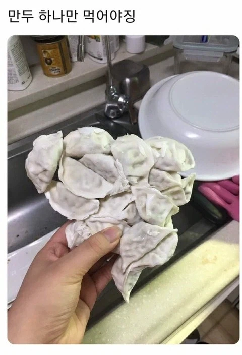 만두 하나만 먹어야징~_1.webp