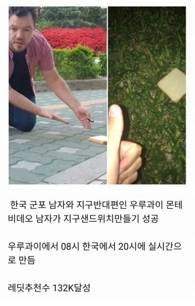 지구 샌드위치_1.webp