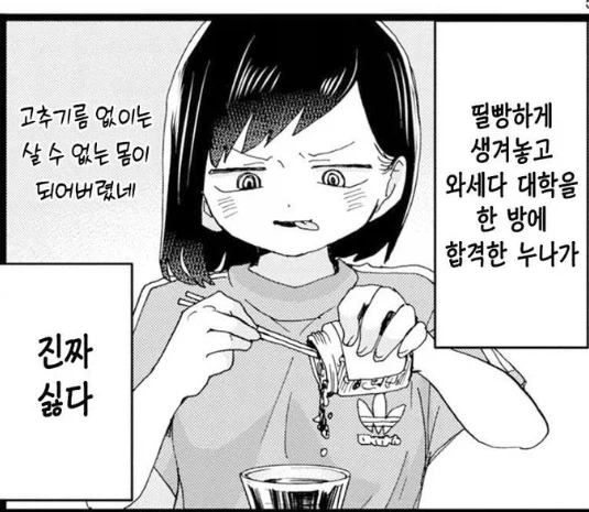 내마위 이치카와의 누나의 무서운 점_1.webp