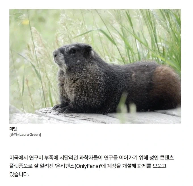 연구비 충당을 위해 온리팬스를 시작한 과학자들_1.webp