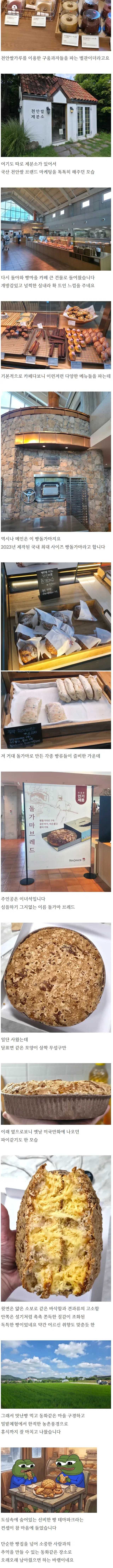돈찐) 천안 돌가마 빵마을.jpg_3.webp
