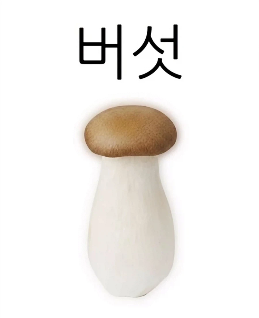 버섯.jpg_1.webp