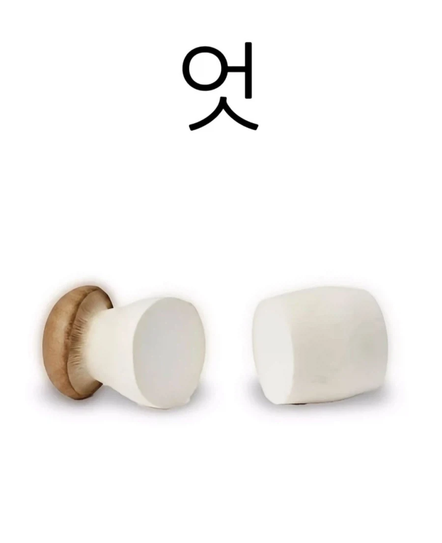 버섯.jpg_8.webp