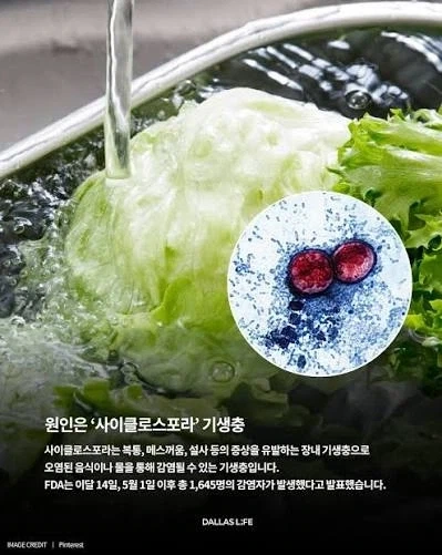 의외로 깻잎이랑 상추에 기생충들이 많다고 한다_1.webp