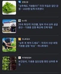 의외로 깻잎이랑 상추에 기생충들이 많다고 한다_2.webp