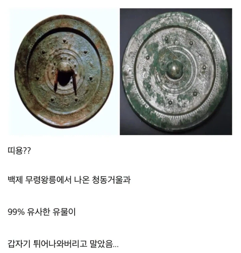 일본 최대규모 무덤 발굴 안한다는 음모론 웃긴게_1.webp