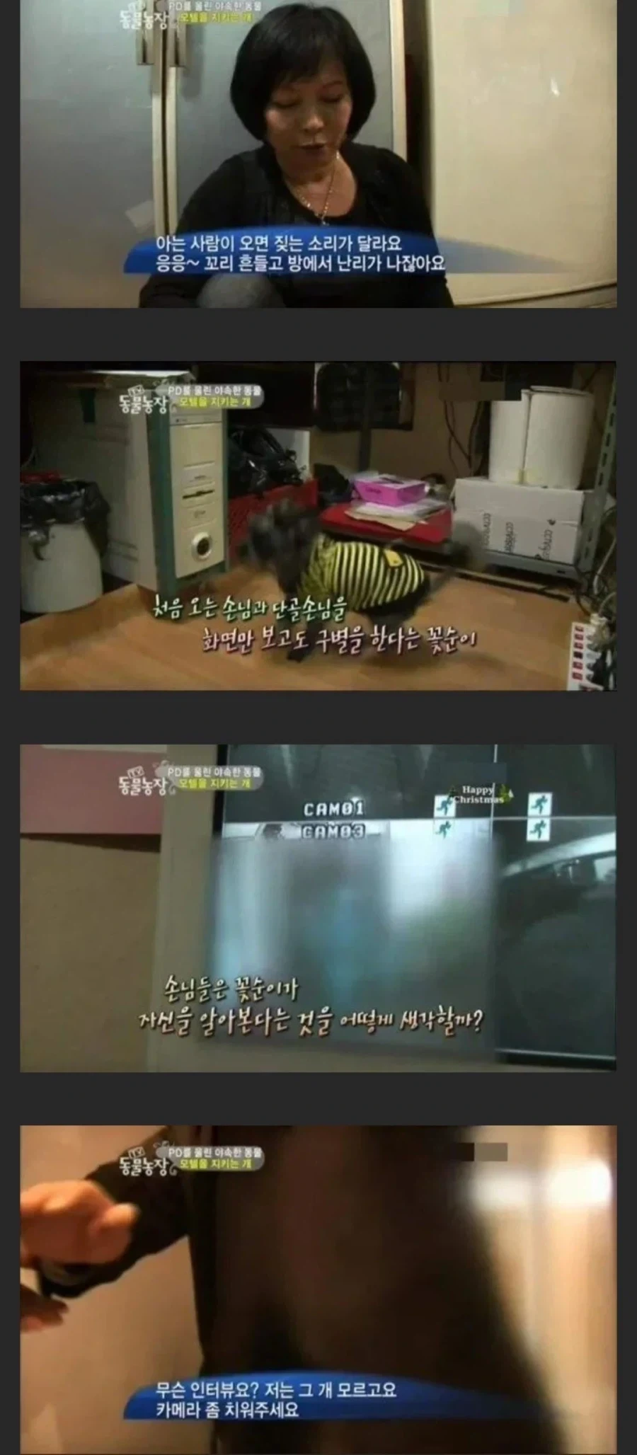 모텔 단골을 알아보는 강아지_1.webp
