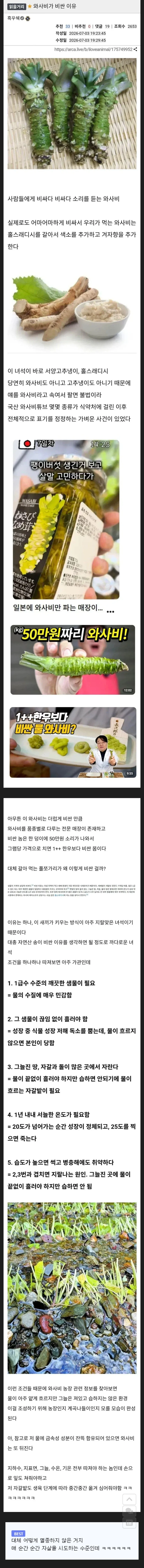 진짜 와사비가 비싼 이유_1.webp