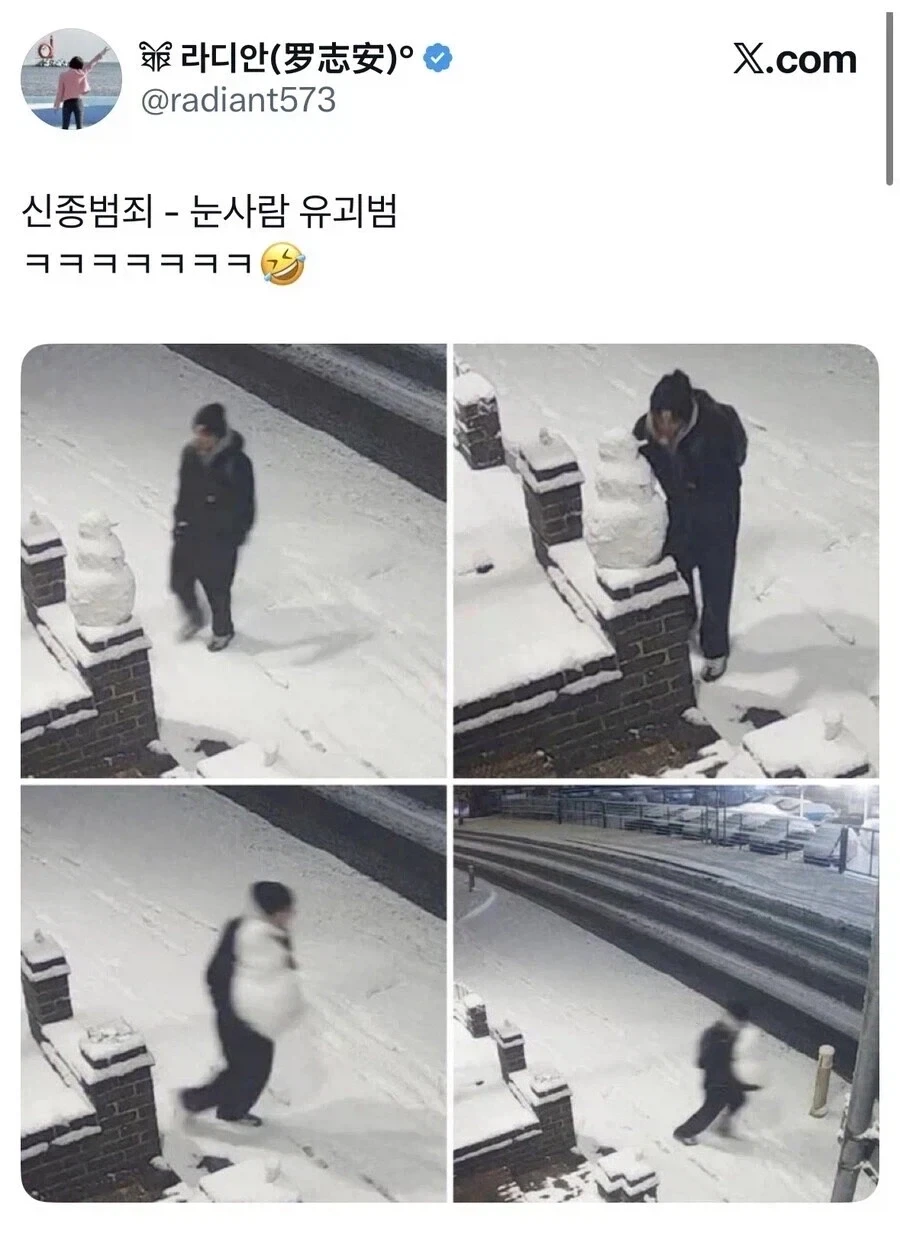 눈사람 만들면 생기는 일.jpg_1.webp