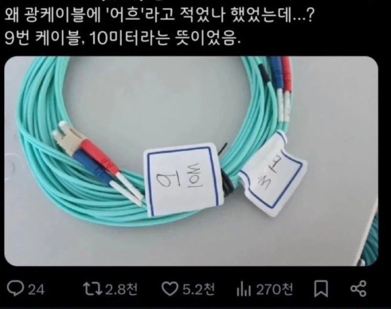 왜 케이블에