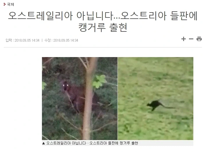 더이상 캥거루로 구분하면 안되는 나라_1.webp
