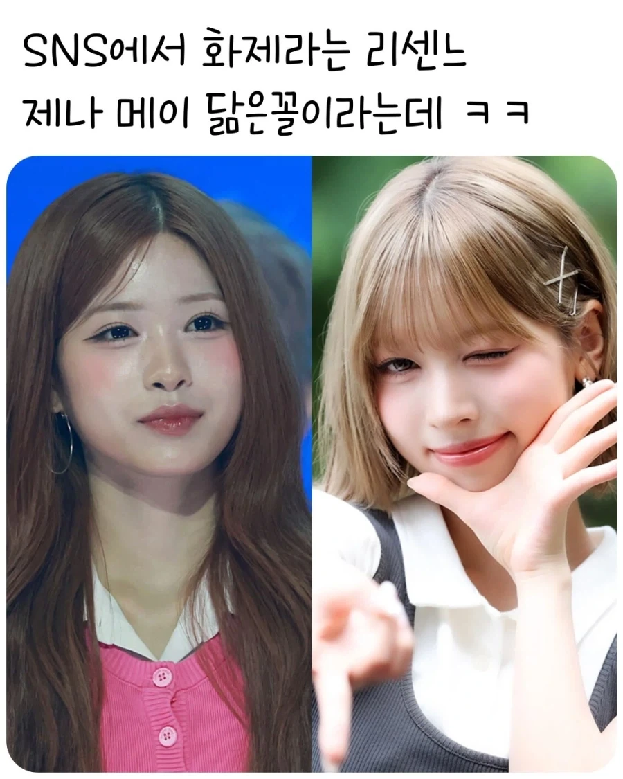 리센느 제나, 메이 닮은꼴..._1.webp