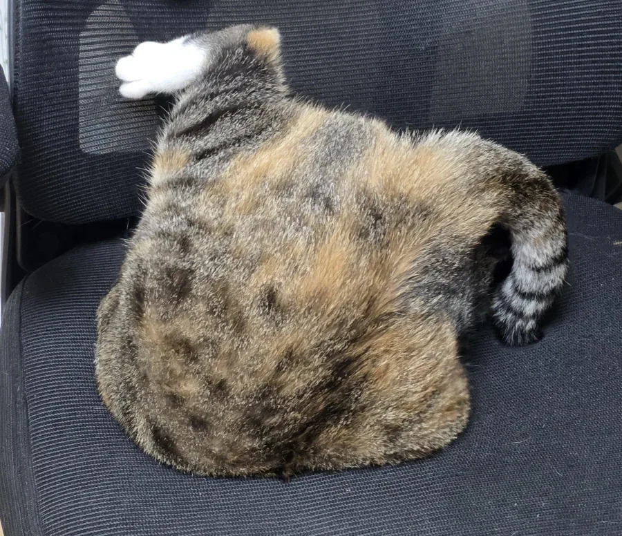 이새키 왜 고장났냐?_1.webp