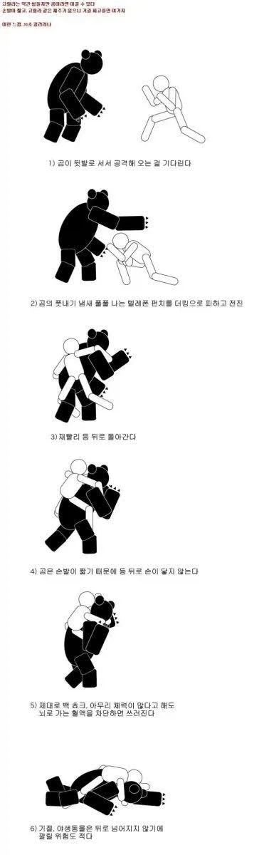 곰과싸워서 이기는방법_1.webp