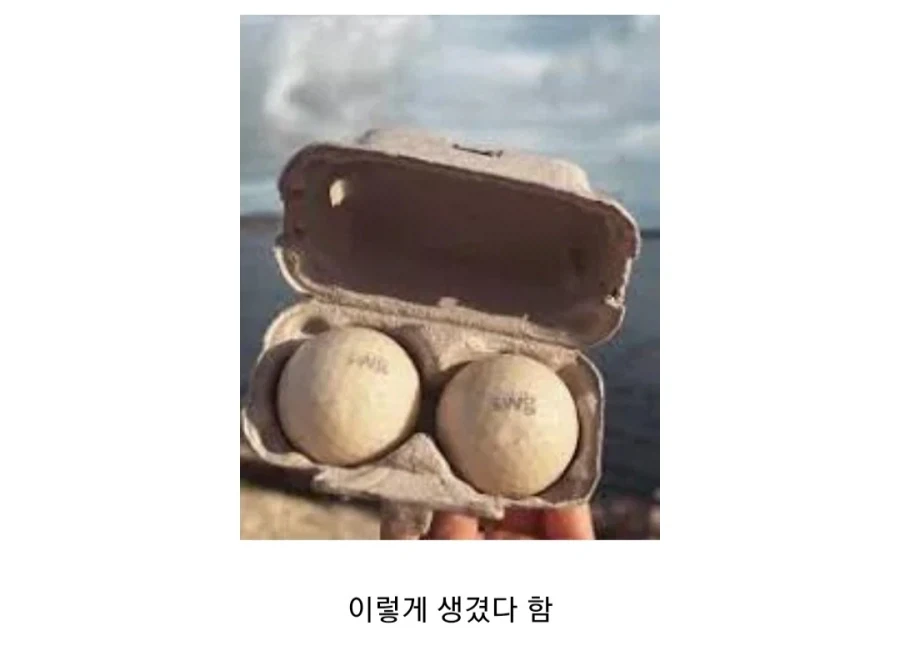 바다에서 골프치다 욕 먹은 홀란_3.webp