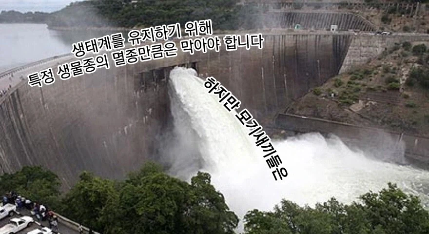 생물종을 보존해야 한다는 생물학자도 망설여지는 문제_1.webp