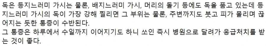 지금이 제철인 못생겼는데 맛 좋은 생선_4.webp